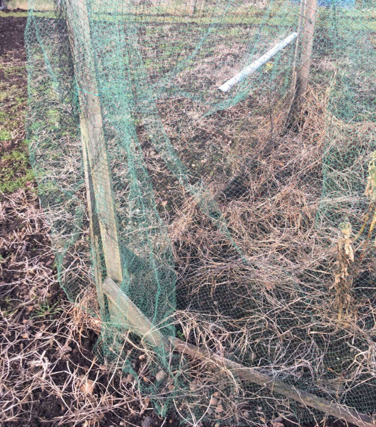 Mesh netting - a wildlife danger | Everything Not Human